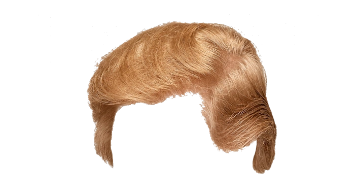 Trump Hair