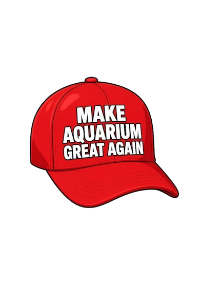 MAGA Hat
